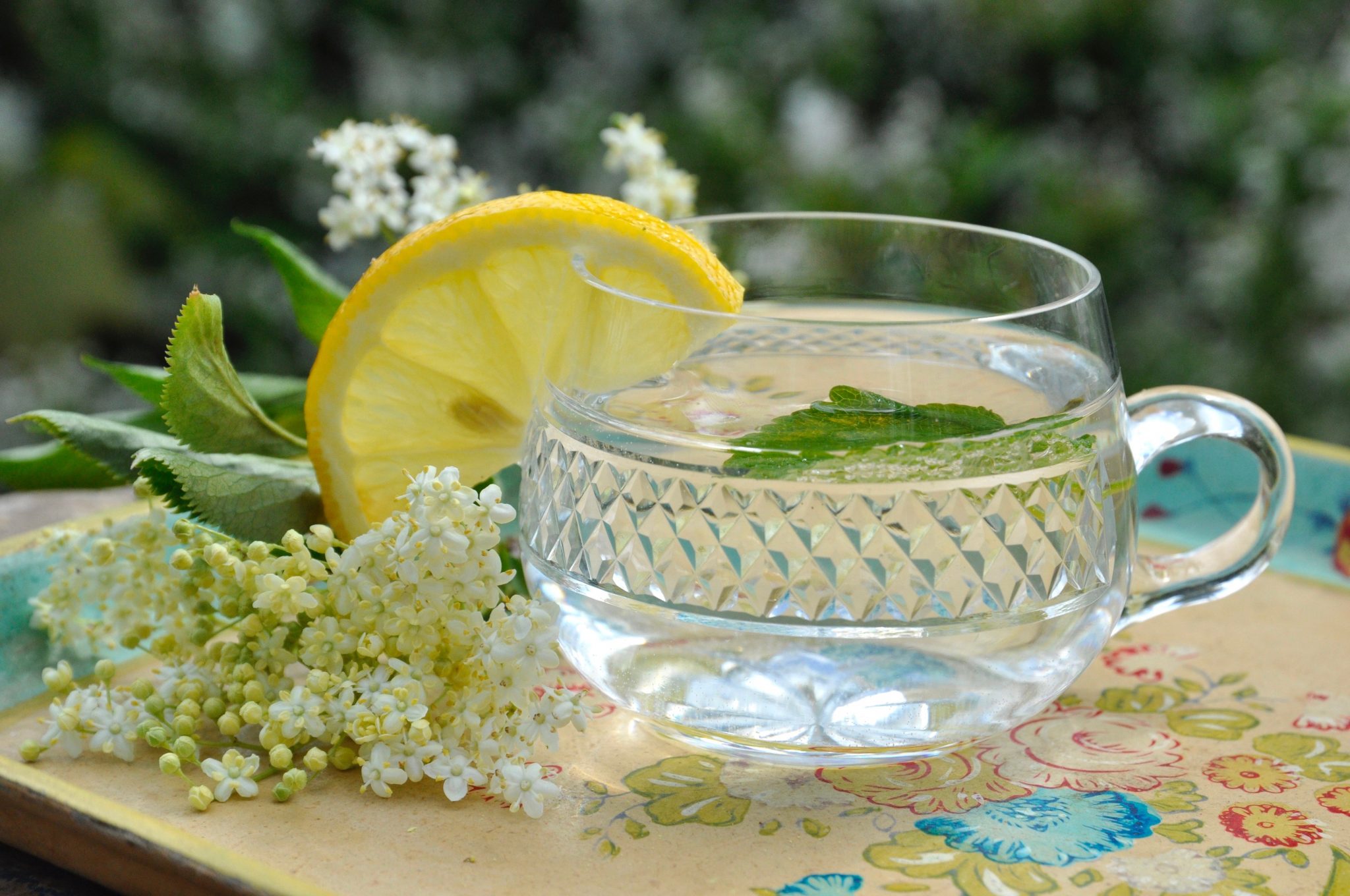 How To Make Your Own Elderflower Cordial From Scratch