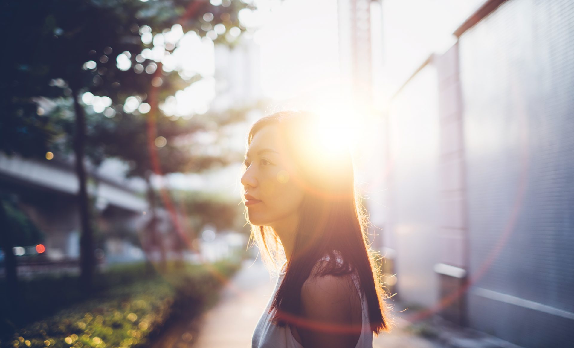 Morning sunlight can beat fatigue during the winter