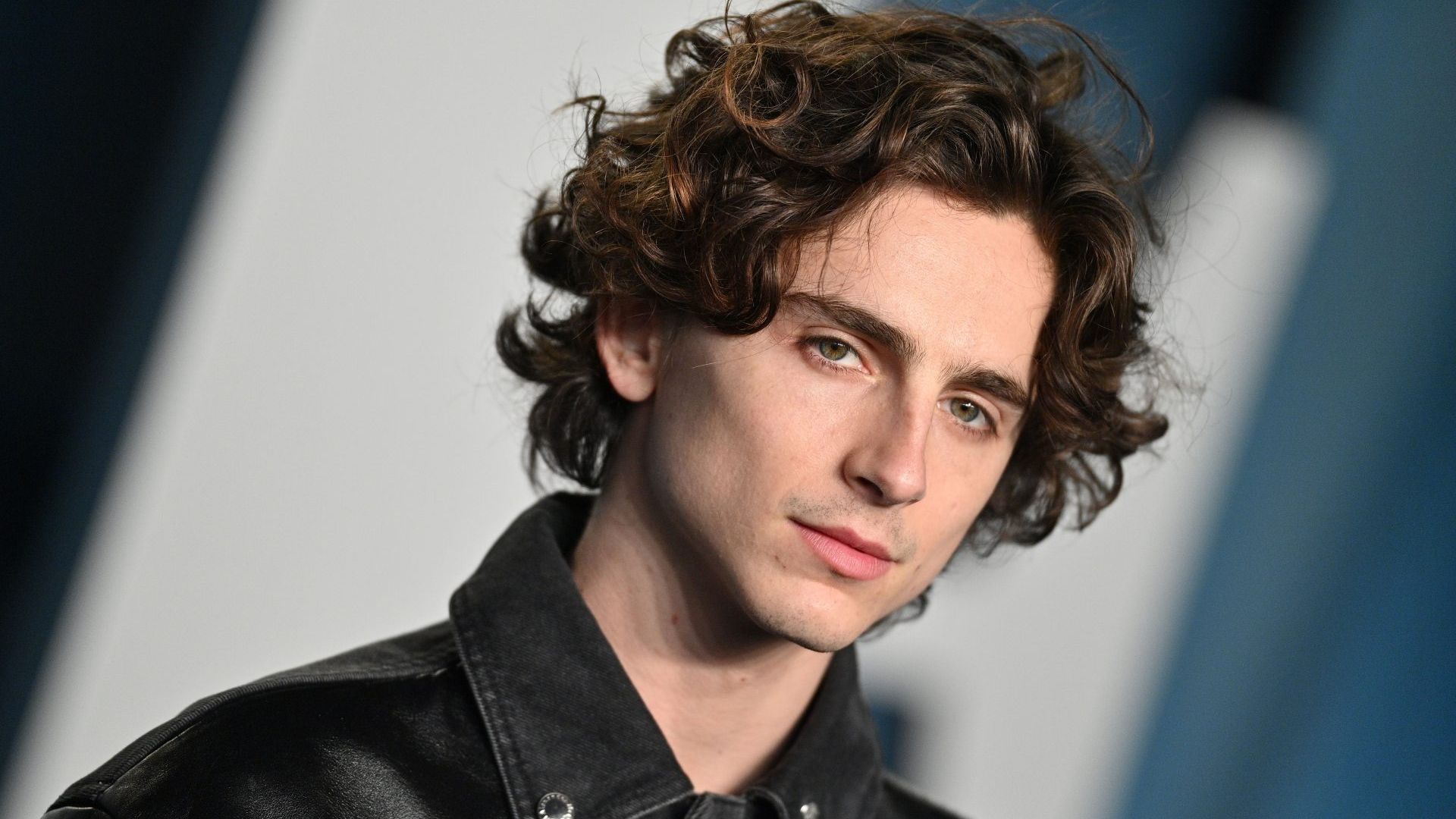 Bones And All: watch teaser for Timothée Chalamet cannibal movie